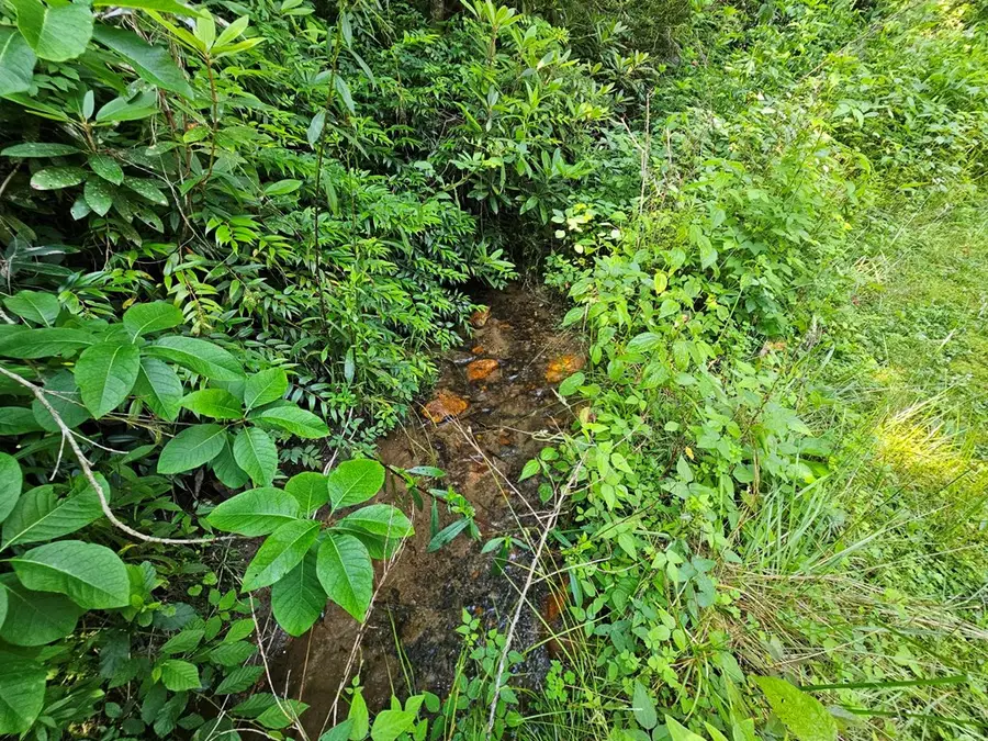 31 Acres Upper Bear Paw Road, Murphy, NC 28906 - #2