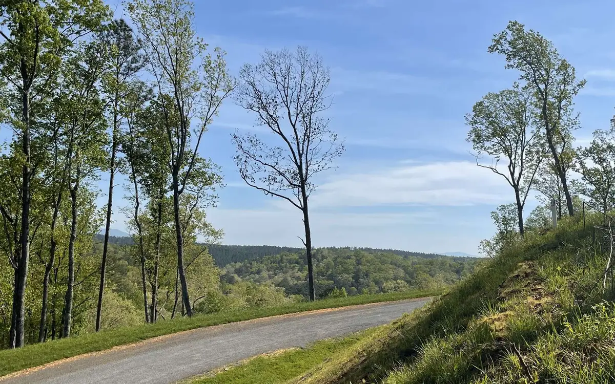 LT118 S Jakes Landing Way, Ellijay, GA 30540 - #1