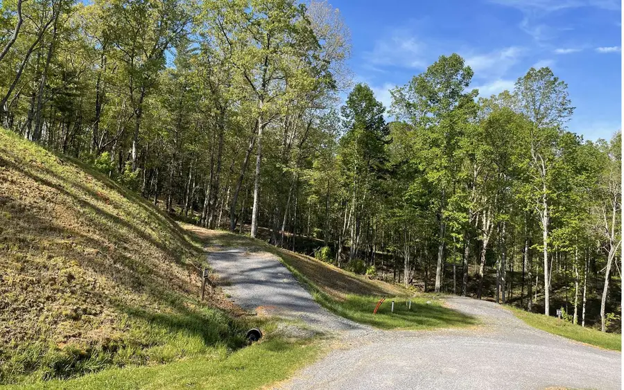 LT118 S Jakes Landing Way, Ellijay, GA 30540 - #3