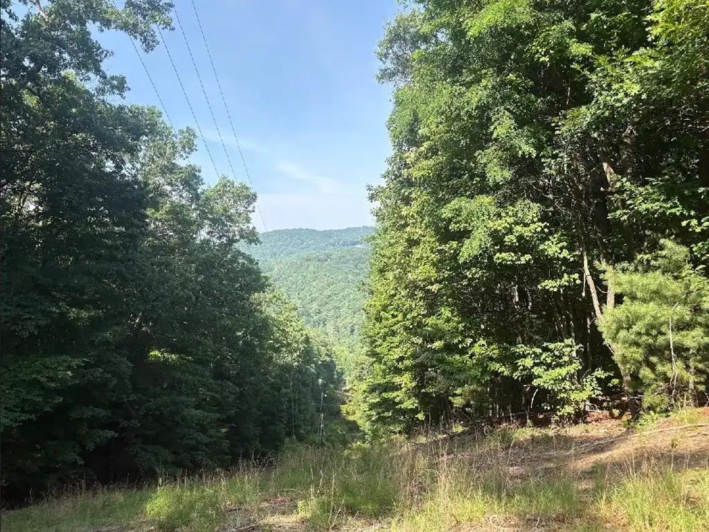 00 Burnt Mountain, Jasper, GA 30143 - #1