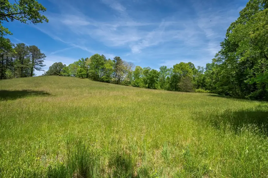 Lot 1-1A Jonica Gap Road, Mineral Bluff, GA 30559 - #3
