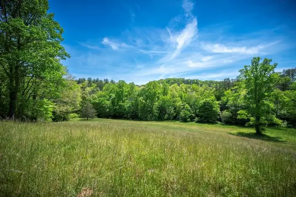 Lot 2-2A Waterstone Way, Mineral Bluff, GA 30559