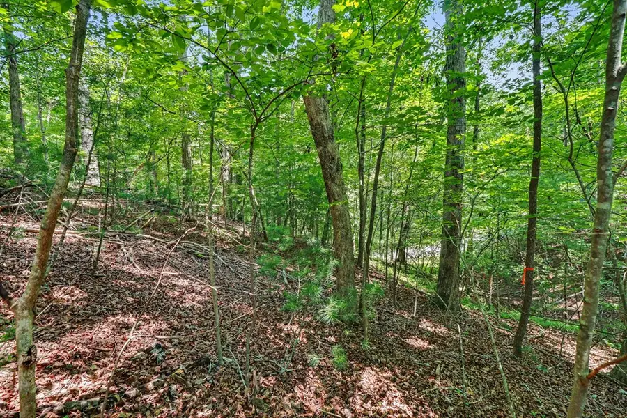 148 Alcan Way, Ellijay, GA 30540 - #3