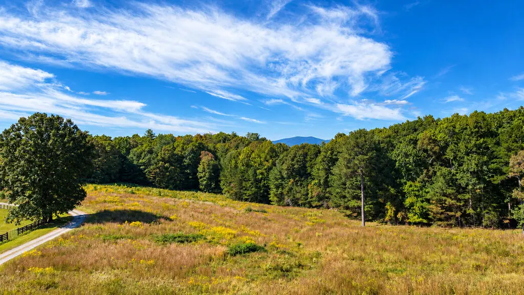 LT 6 Spring Camp Road, Ellijay, GA 30536 - #1