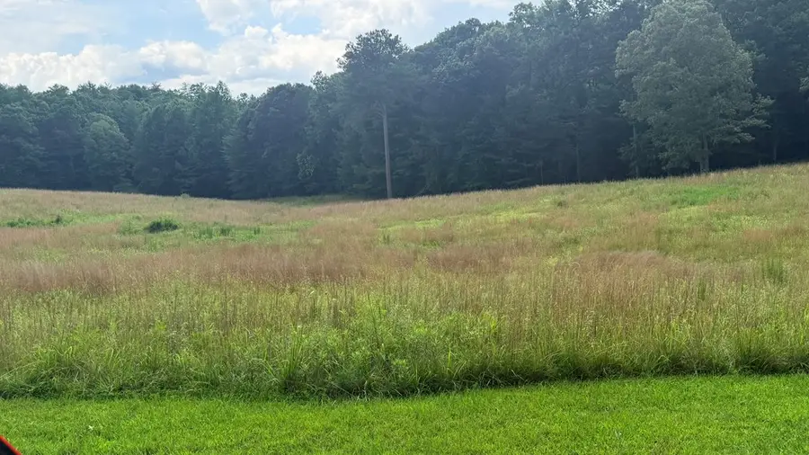 LT 6 Spring Camp Road, Ellijay, GA 30536 - #3
