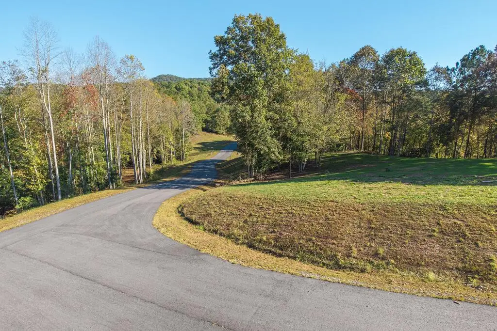 Lot 4-4A Waterstone Way, Mineral Bluff, GA 30559 - #1