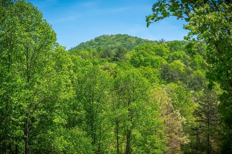 Lot 4-4A Waterstone Way, Mineral Bluff, GA 30559 - #3