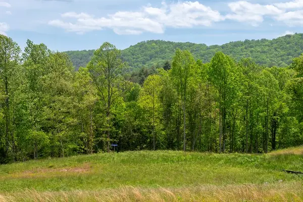 Lot 15 Waterstone Way, Mineral Bluff, GA 30559