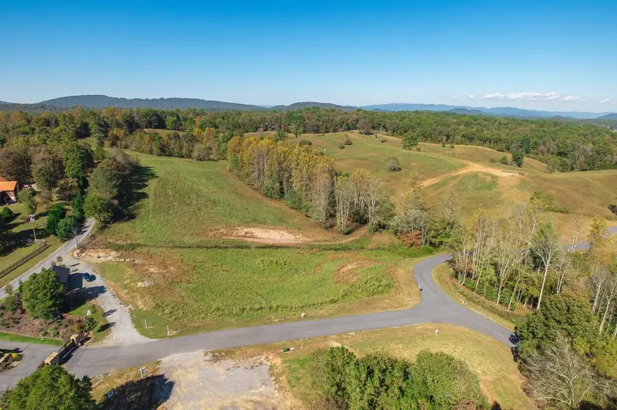 Lot 15 Waterstone Way, Mineral Bluff, GA 30559 - #3