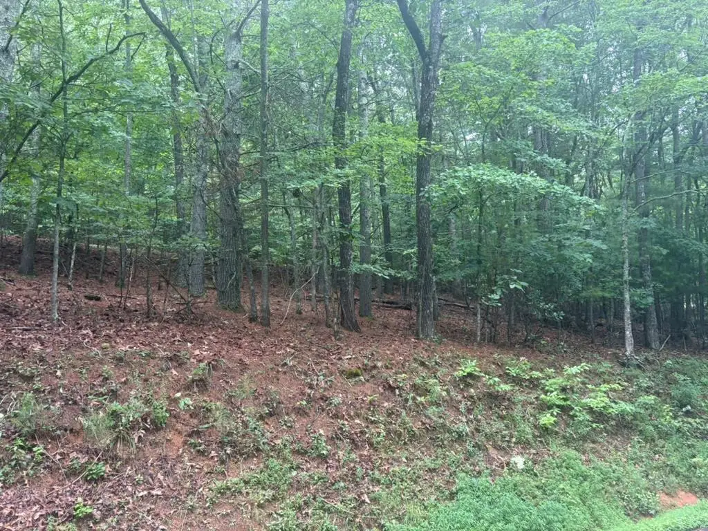 99 Nelson Circle, Blairsville, GA 30512 - #1