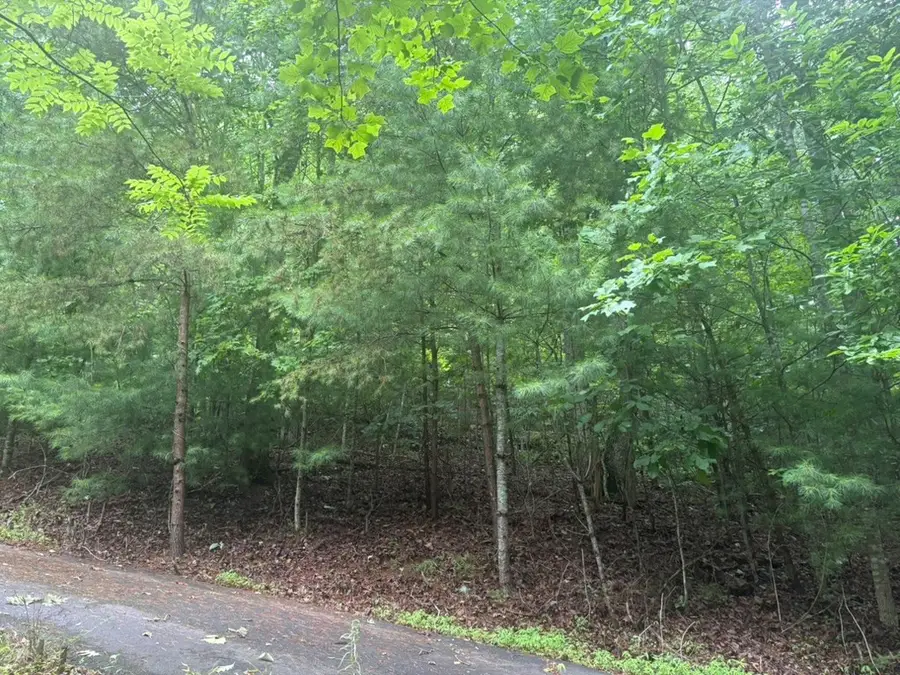 99 Nelson Circle, Blairsville, GA 30512 - #2