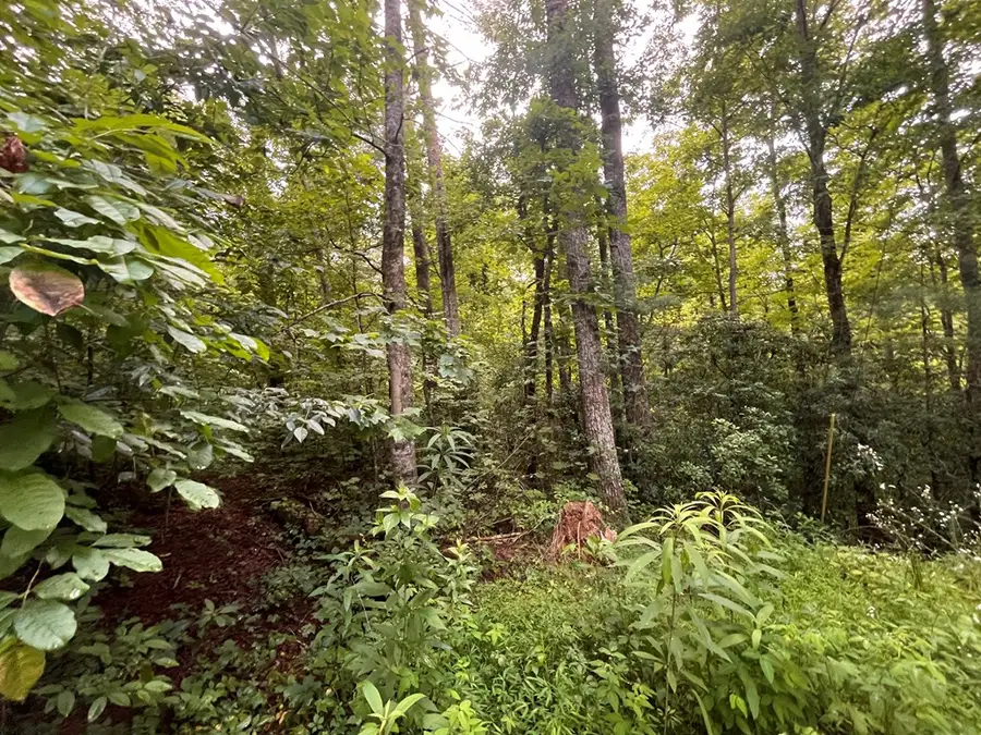 Lt 33 Brook Court, Ellijay, GA 30540 - #3