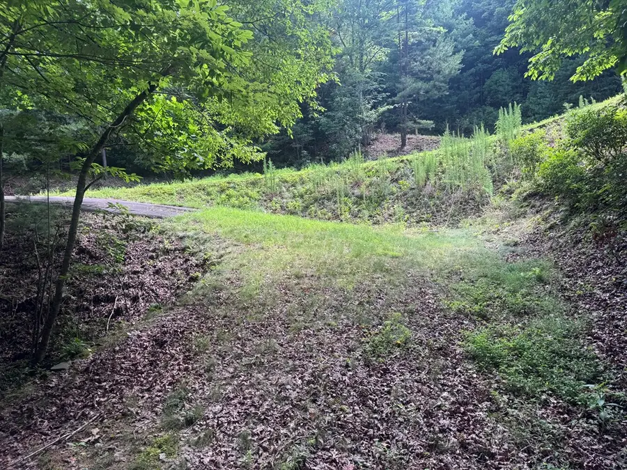 39 Fiddlers Way, Brasstown, NC 28904 - #2