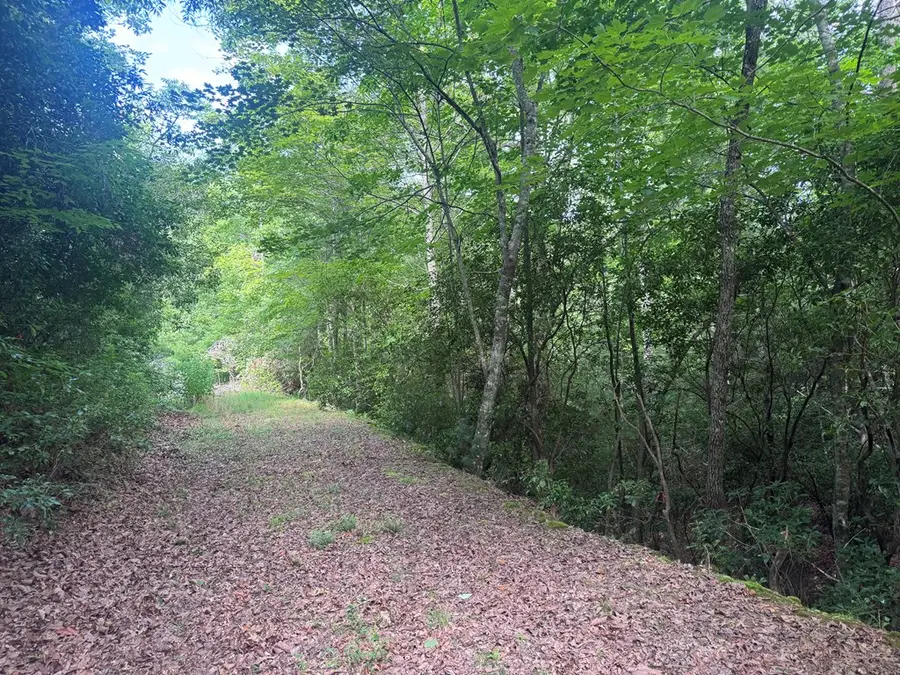 39 Fiddlers Way, Brasstown, NC 28904 - #3