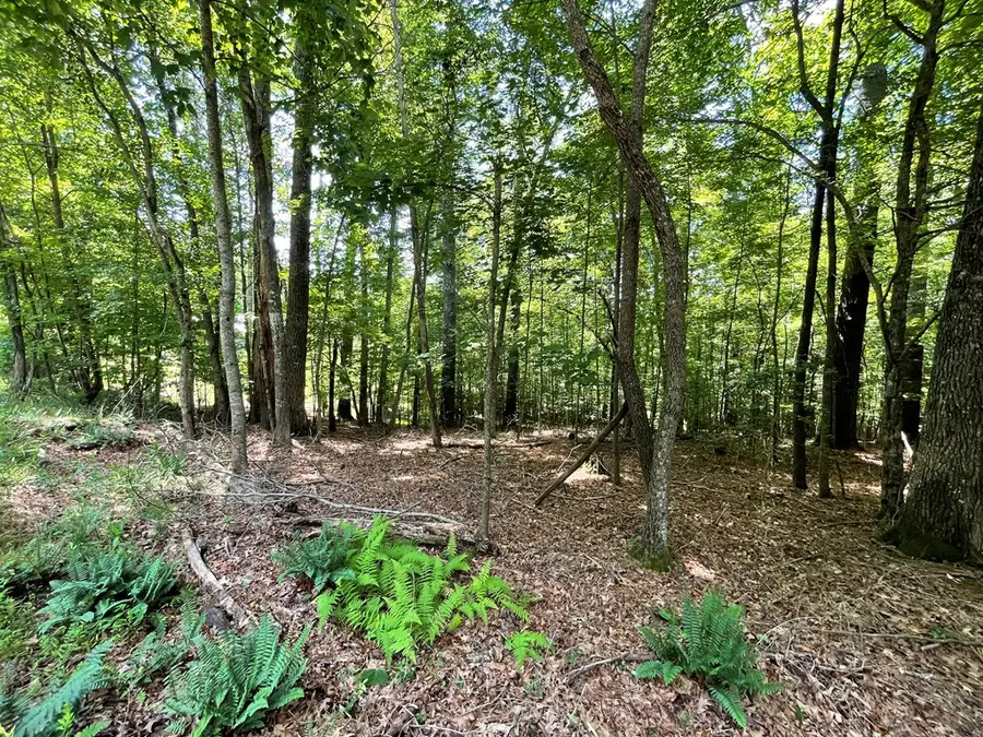 Lot 15 Summit Way, Blairsville, GA 30512 - #3