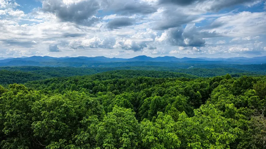 629 My Mountain Road, Morganton, GA 30560 - #3