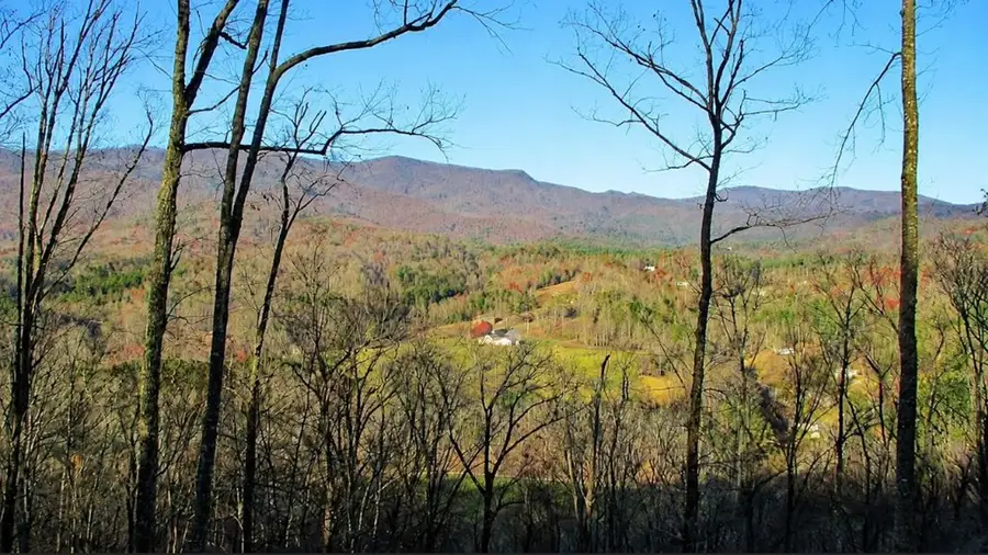 20 Fly Cast Overlook, Hayesville, NC 28904 - #2