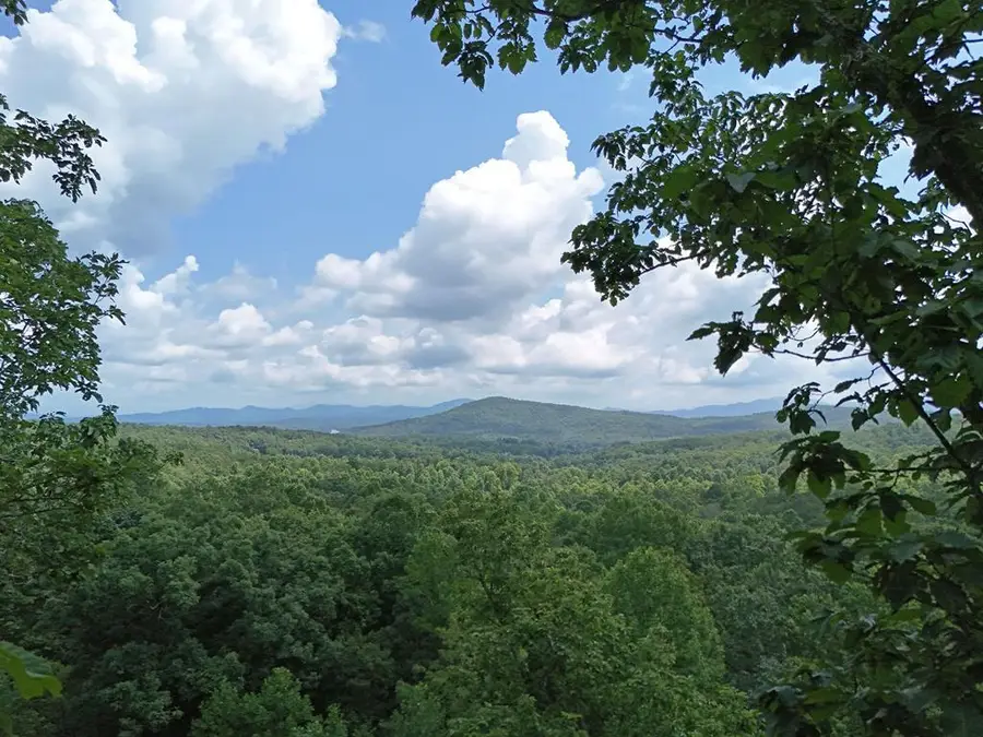Lot 71 Chicory Drive W, Blairsville, GA 30512 - #2