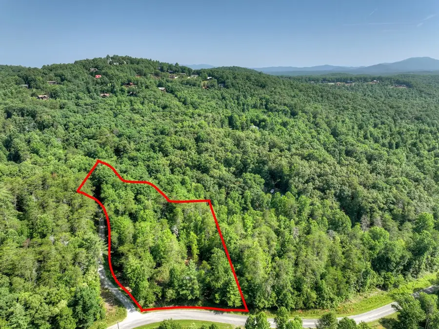 2.64 acr Grace Drive, Blue Ridge, GA 30513 - #2