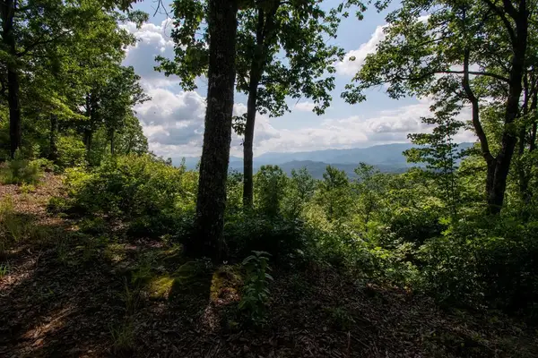 850 Bluff Road, Marble, NC 28905