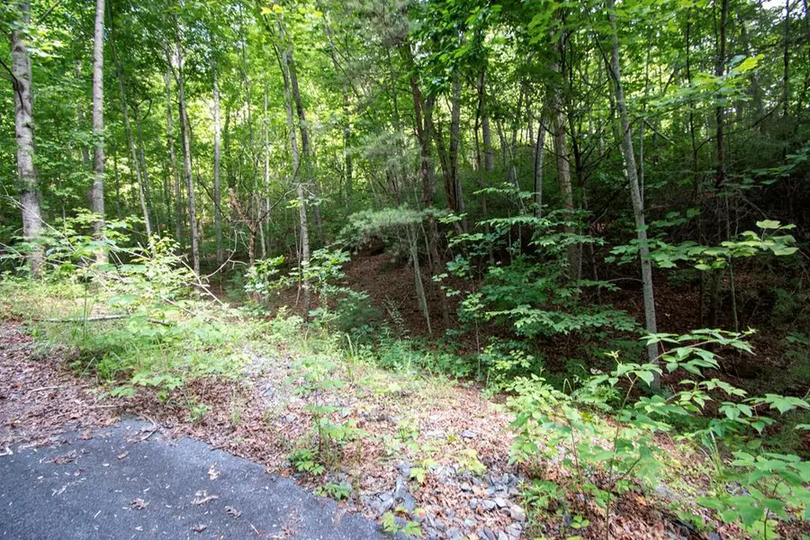 0 Bluff Road, Marble, NC 28905 - #2