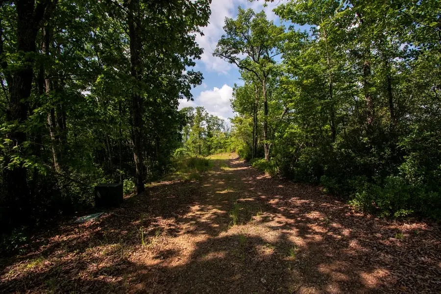 0 Bluff Road, Marble, NC 28905 - #3