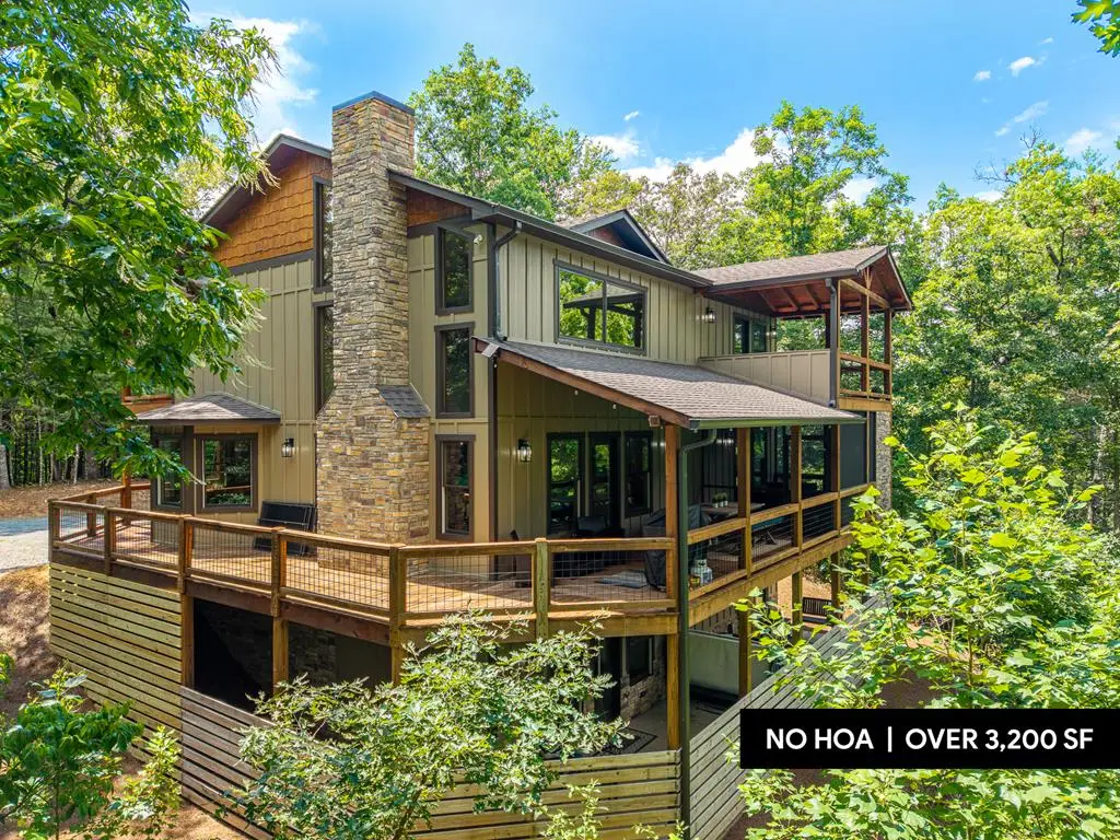 4687 Murphy Hwy, Mineral Bluff, GA 30559 - #1