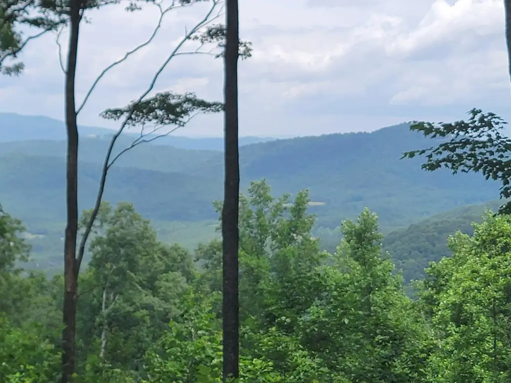 81 Hidden Mountain, Hothouse, NC 26906 - #1