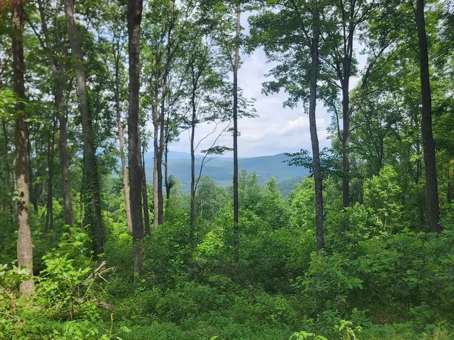 81 Hidden Mountain, Hothouse, NC 26906 - #3