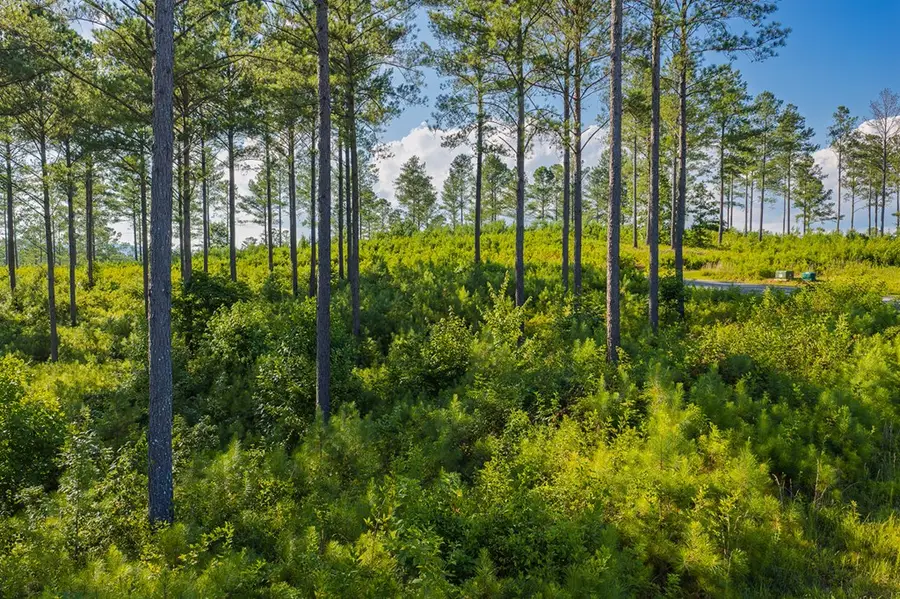 Lot 68 High River Road, Ellijay, GA 30540 - #3