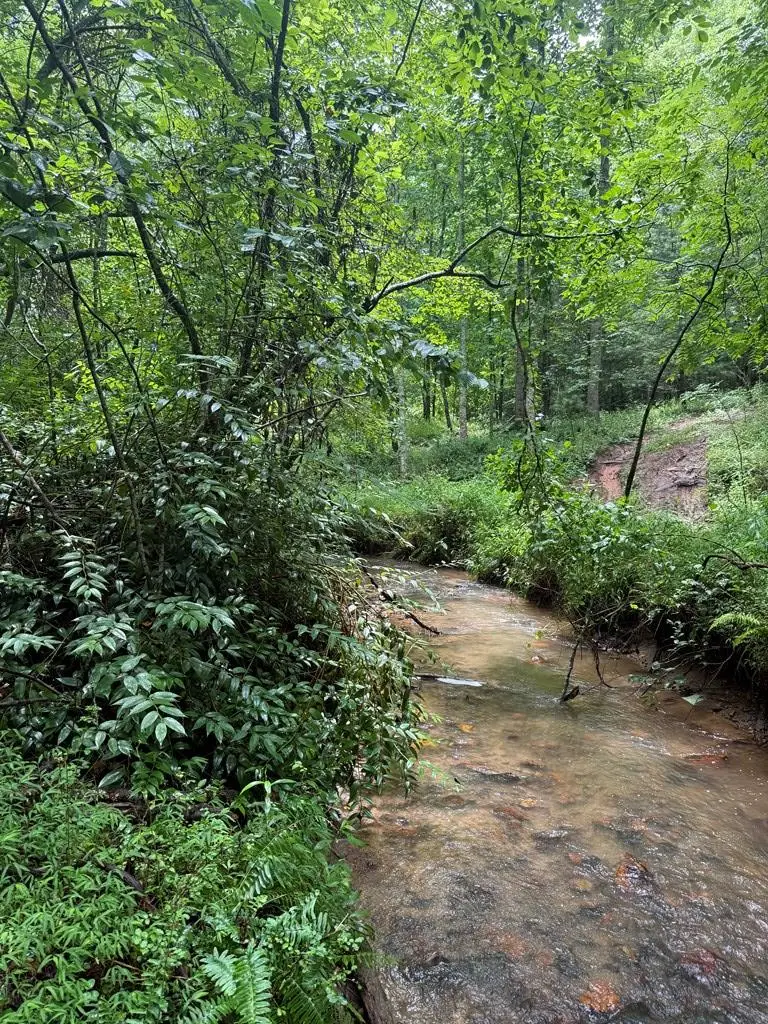 TBD Pinelog Church Road, Brasstown, NC 28902 - #1