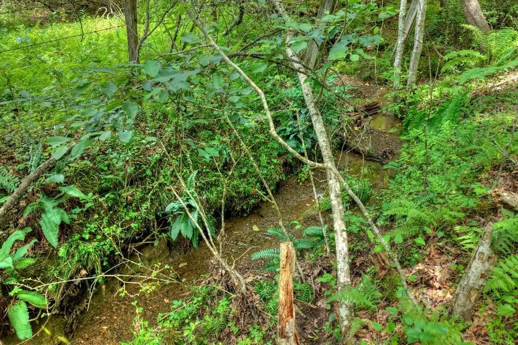 00 Scots Glen Road, Mineral Bluff, GA 30559 - #1
