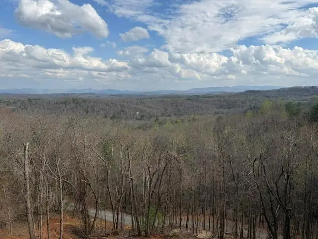 LT40 Lookout Drive, Blue Ridge, GA 30015 - #1