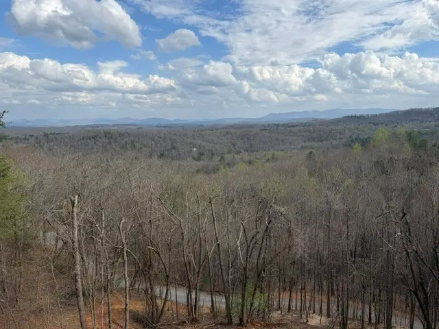 LT40 Lookout Drive, Blue Ridge, GA 30015 - #2