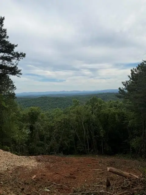 0 Lookout Drive, Blue Ridge, GA 30015 - #1