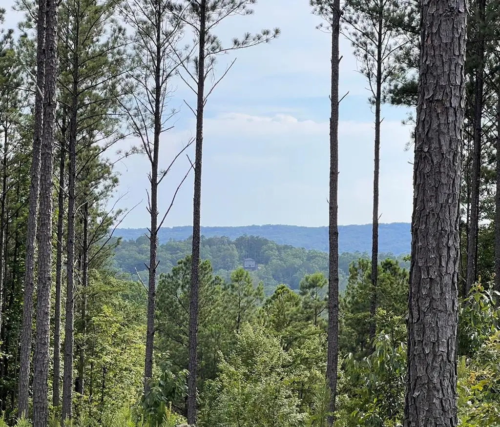 Lot 103 Blalock Mountain Road, Ellijay, GA 30540 - #1