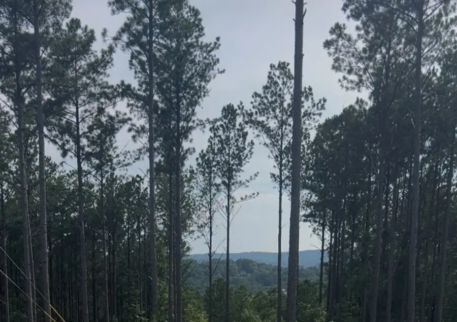 Lot 103 Blalock Mountain Road, Ellijay, GA 30540 - #2