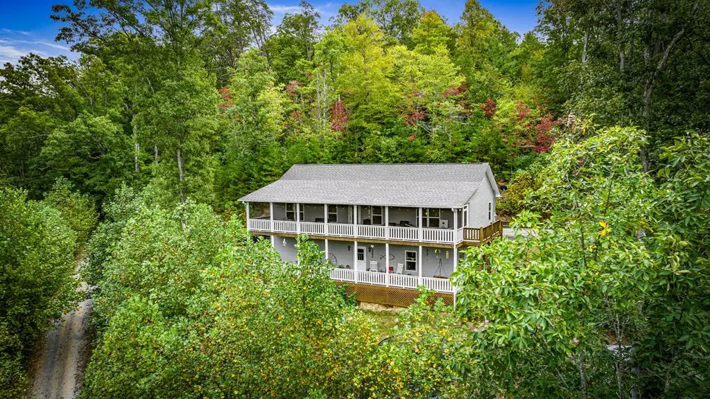 6 Gilliam Road, Mineral Bluff, GA 30559 - #1