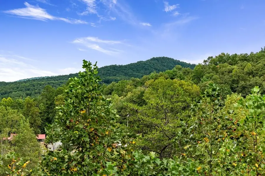 6 Gilliam Road, Mineral Bluff, GA 30559 - #2