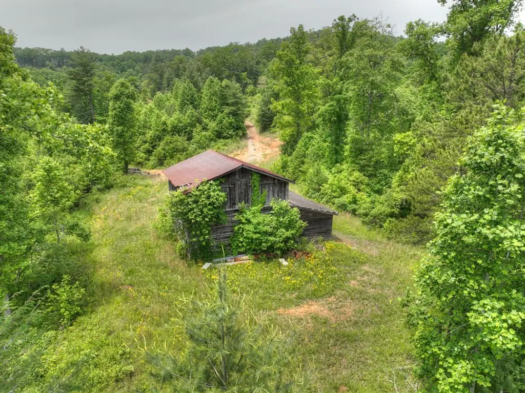 7.5 ac Hidden Acres, Blue Ridge, GA 30513 - #1