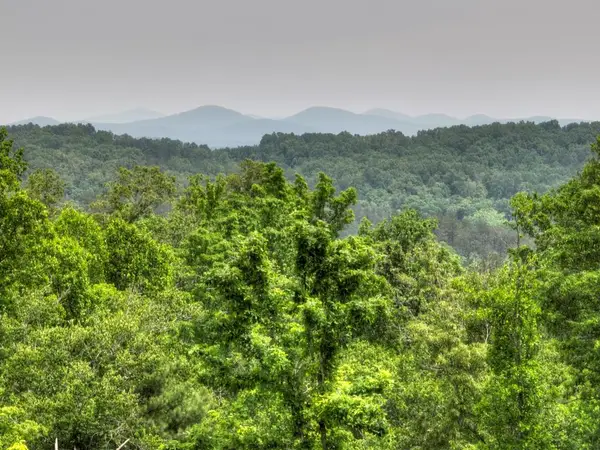 3.20 ac Hidden Acres, Blue Ridge, GA 30513