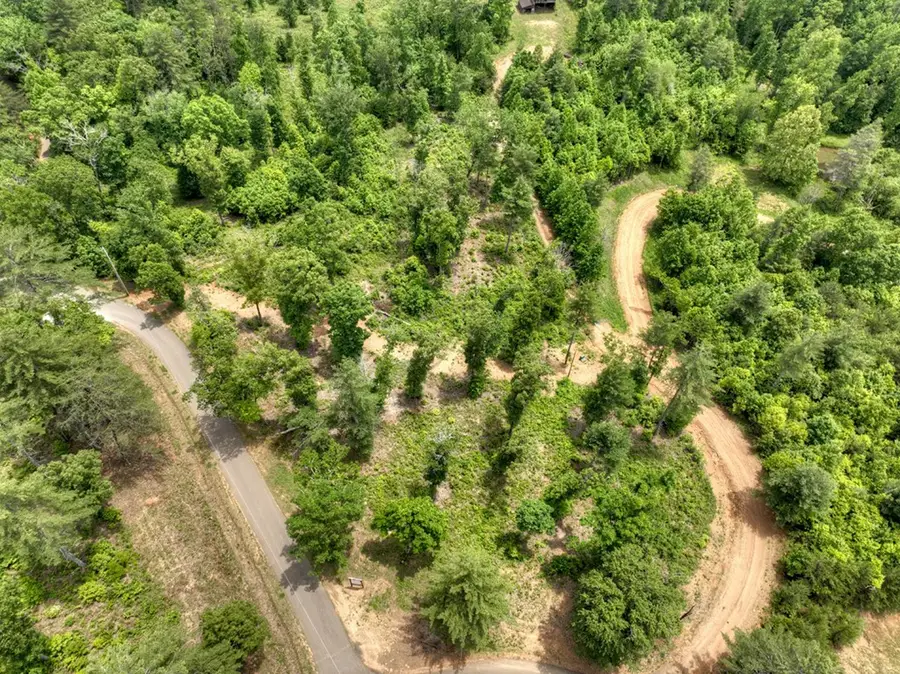 3.20 ac Hidden Acres, Blue Ridge, GA 30513 - #3