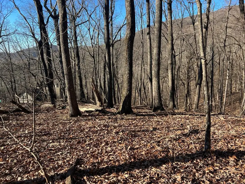 0 Sassafras Mountain Trail, Jasper, GA 30143 - #1