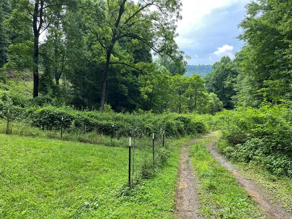 00 Bates Creek Road, Murphy, NC 28906 - #1