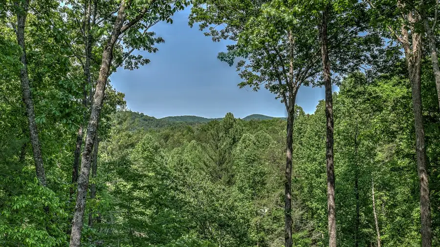 155 Shayla Drive, Blue Ridge, GA 30513 - #2