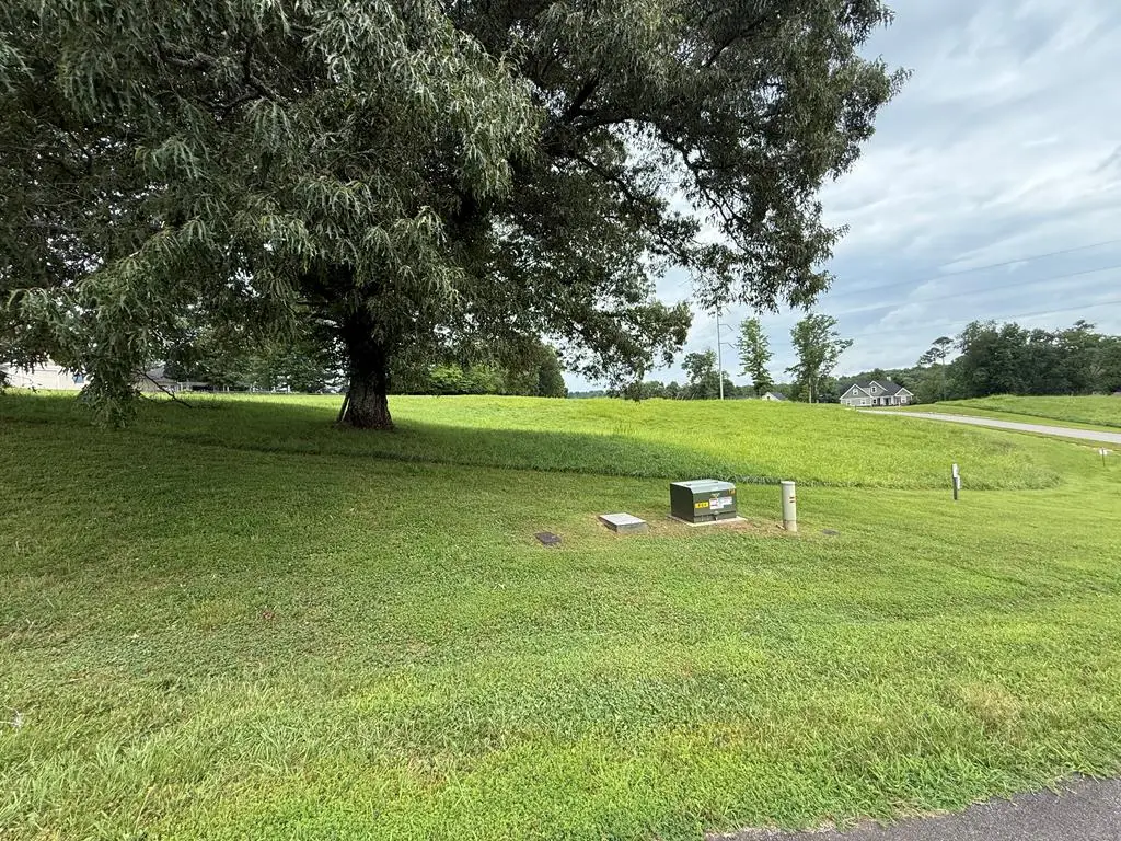 LOT 2 Viewpoint Lane, Blairsville, GA 30512 - #1