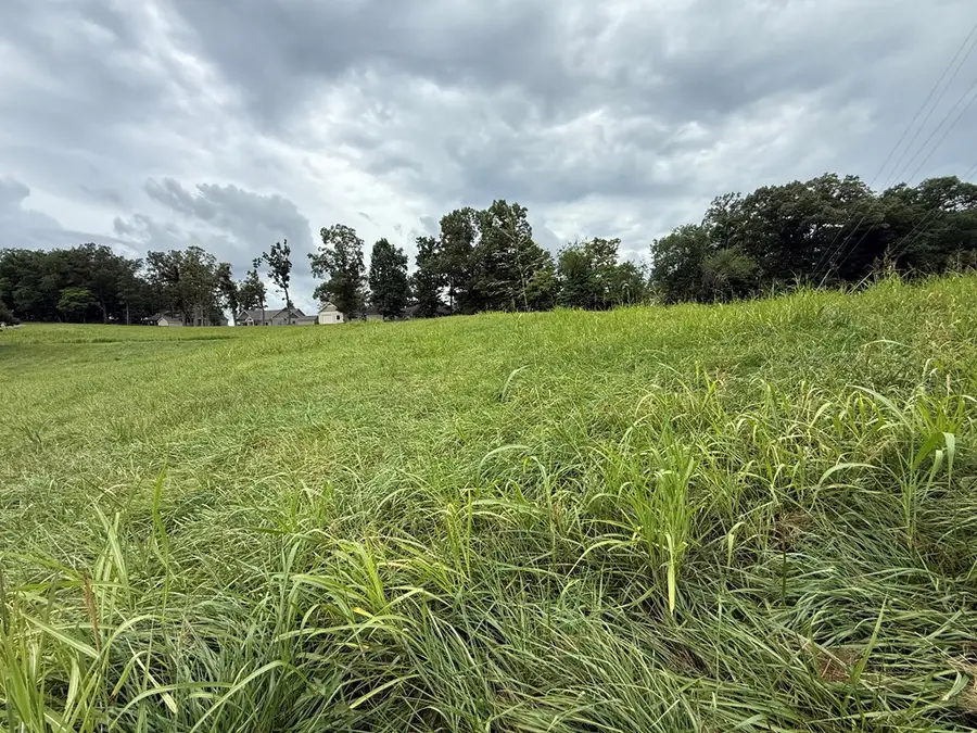 LOT 2 Viewpoint Lane, Blairsville, GA 30512 - #2