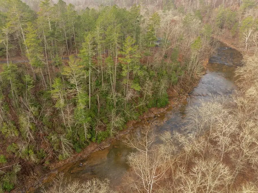 Lot 1742 Meadow Lane, Talking Rock, GA 30175 - #2