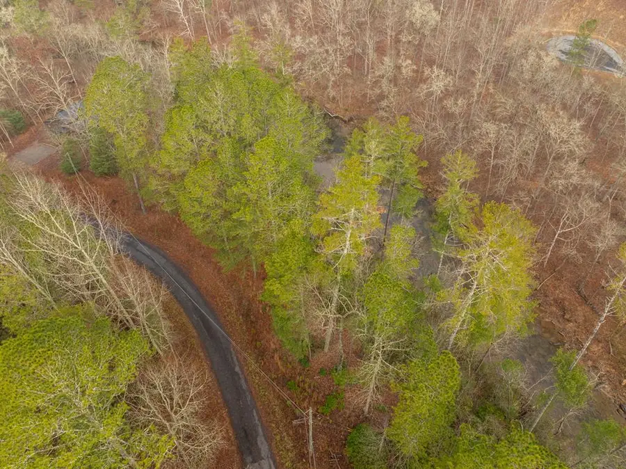 Lot 1742 Meadow Lane, Talking Rock, GA 30175 - #3