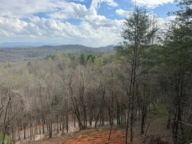 Lot 30 Lookout Drive, Blue Ridge, GA 30513 - #3